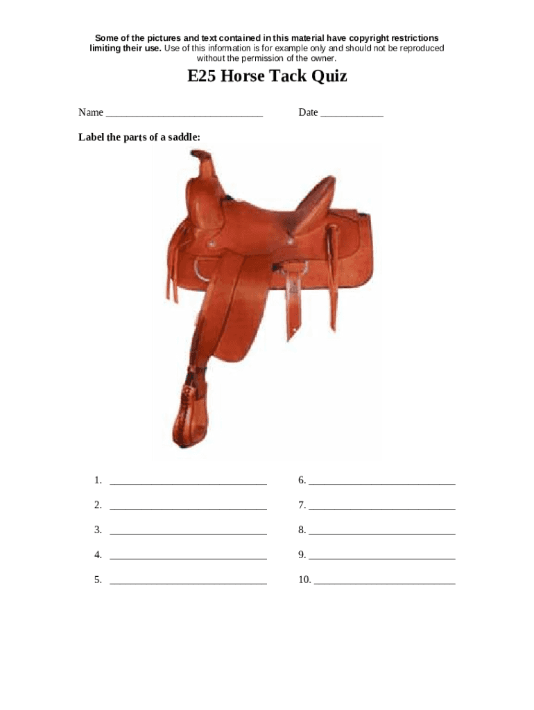 Parts of the Saddle and Bridle Horse Illustrated Magazine Doc