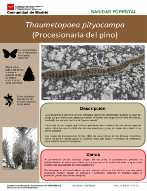 Sanidad forestal