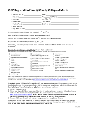 Form preview
