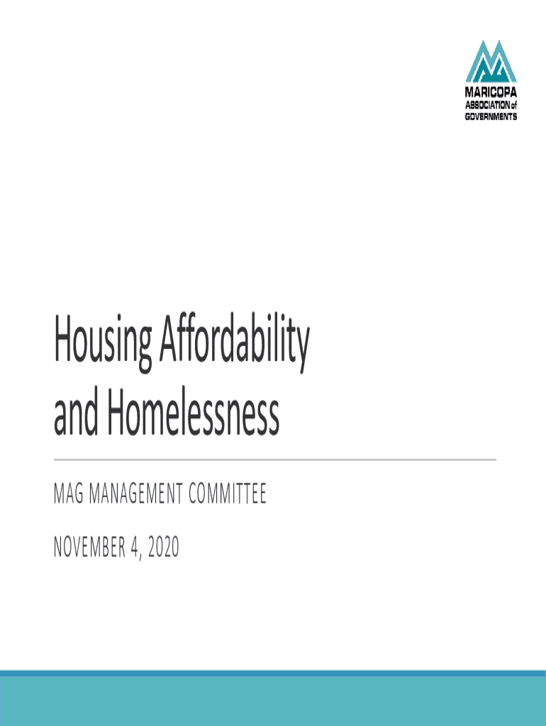 Fillable Online Housing Affordability and Homelessness in Texas Fax
