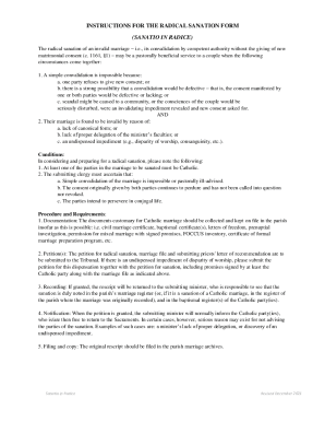 INSTRUCTIONS FOR THE RADICAL SANATION FORM (SANATIO IN RADICE)