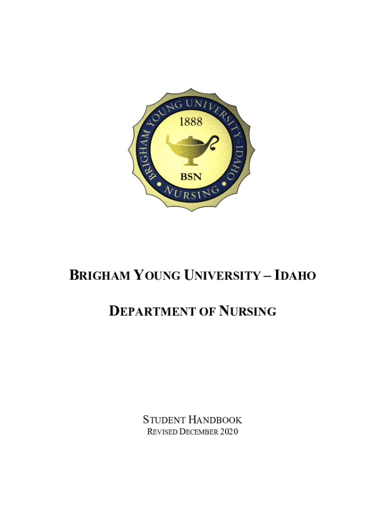 Fillable Online 1 BYUIdaho Program Review for The Nursing Department