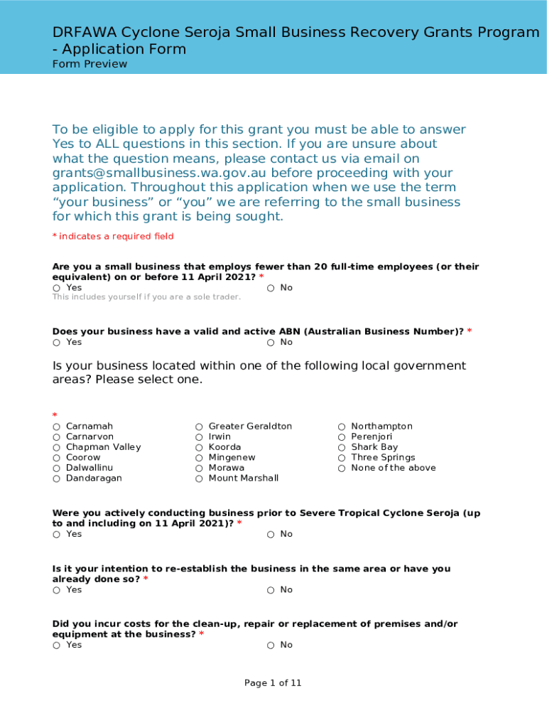 Form preview