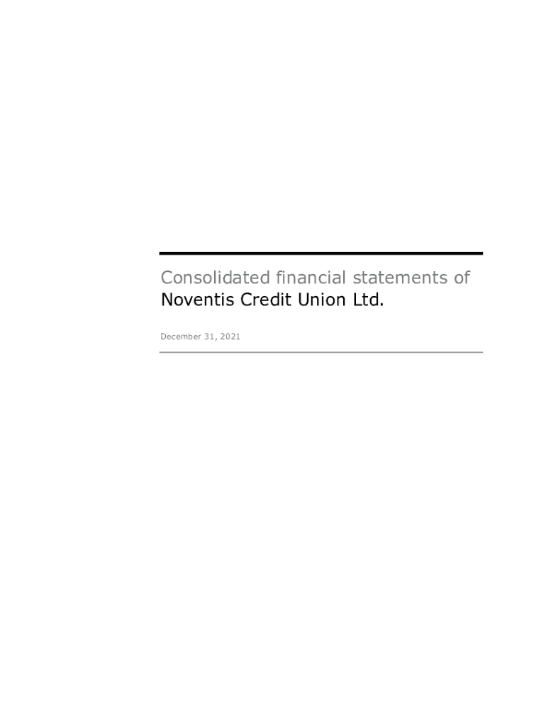 Fillable Online Consolidated financial statements of Noventis Credit