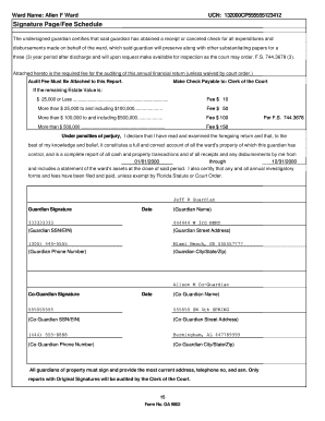 Florida Guardian Annual Financial Return