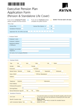 Executive Pension Plan Application Form