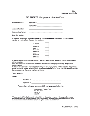 Big Freeze Mortgage Application Form