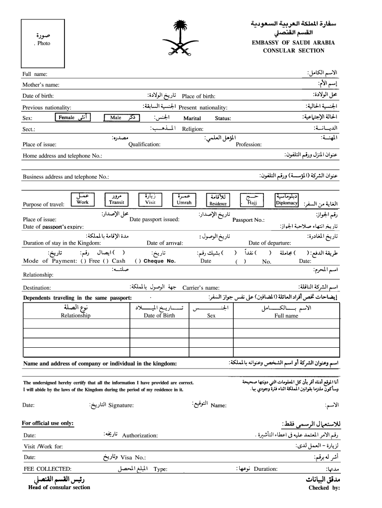 Saudi Arabia Application Fill Online Printable Fillable Blank PdfFiller
