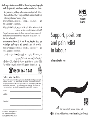 Support in Labour and Delivery Guide