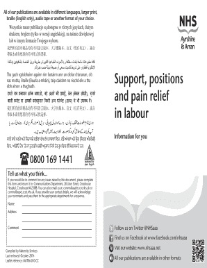 Support in Labour and Delivery Guide