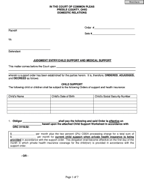 Ohio Child Support and Medical Support Order
