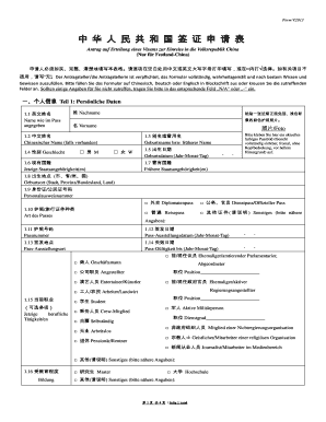 China Visa Application Form
