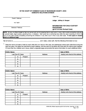 Ohio Child Custody Affidavit Form