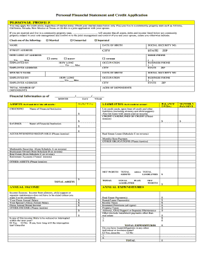 Personal Financial Statement and Credit Application - Ashwill ...