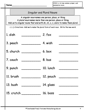 Singular and Plural Nouns Worksheet