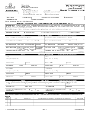 Visa Credit Card Loan Application Form