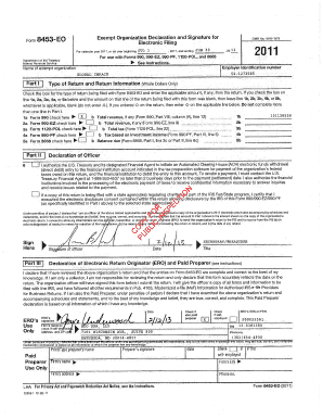 Form 8453E0 Exempt Organization Declaration
