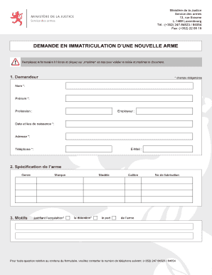 DEMANDE EN IMMATRICULATION D’UNE NOUVELLE ARME
