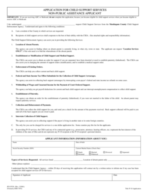 Child Support Services Application
