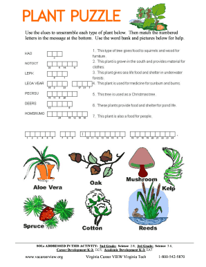 Plant Puzzle Worksheet