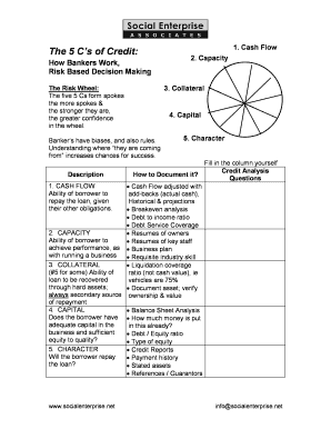 Credit Analysis Form
