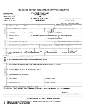 Delaware Workers' Compensation First Report