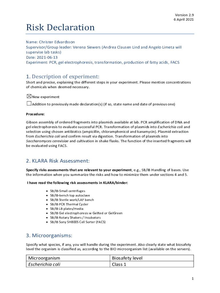 Form preview