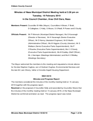 Members Present: Councillor B Hillis (Mayor), Councillors A Breen, F Brett,