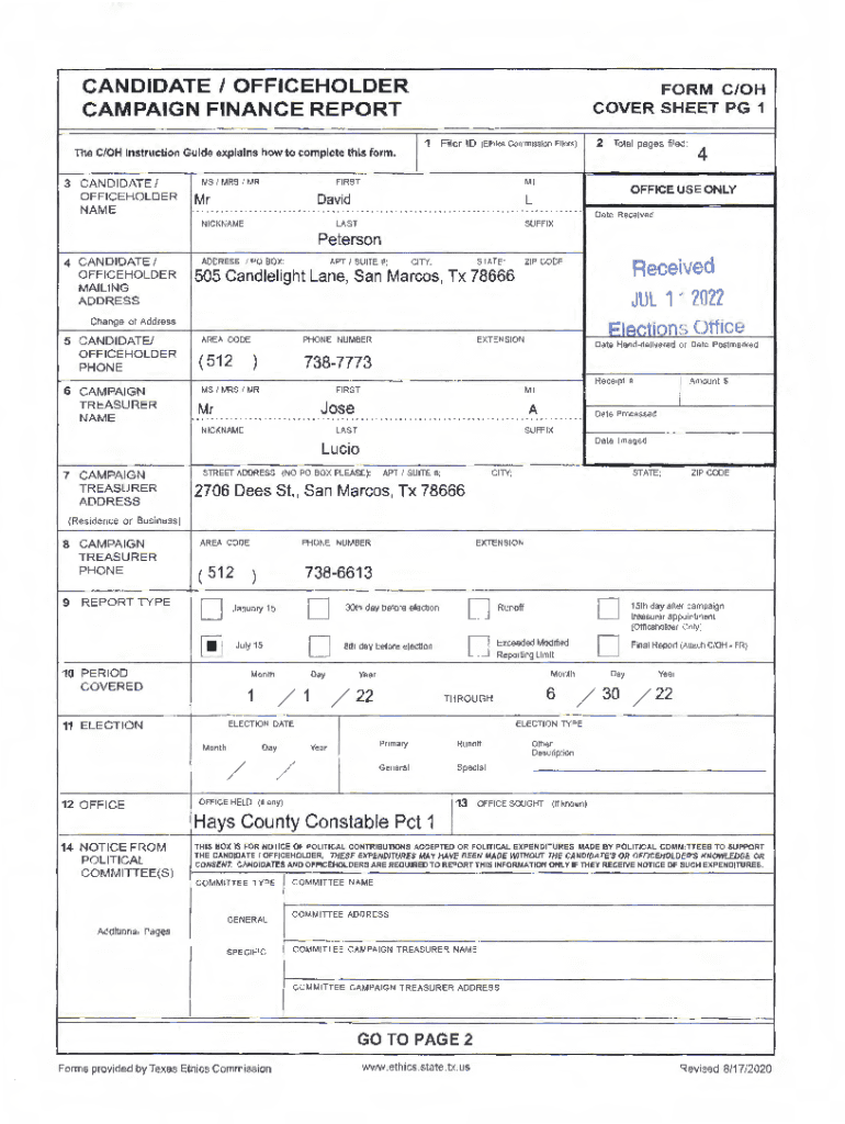 Form preview