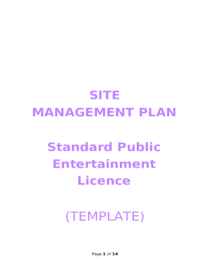 Standard Public Entertainment Licence