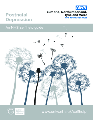 Nice, California visual data 5