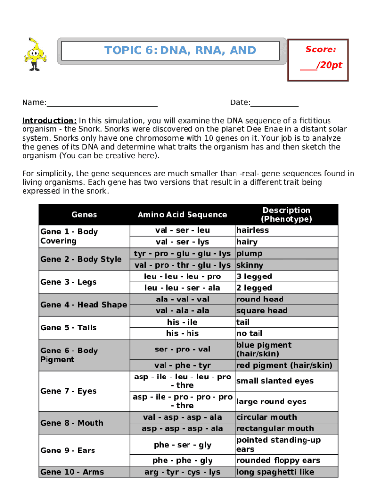 Solved DNA, RNA, and Snorks Directions In this simulation Doc Template