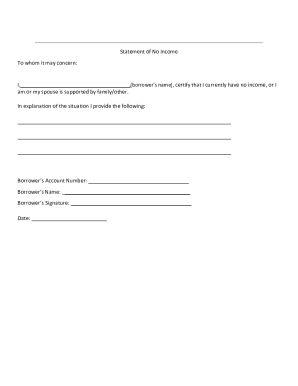 Statement of No Income To whom it may concern