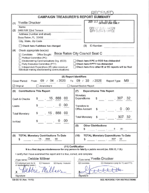 CAMPAIGN TREASURER'S REPORT ... - City of Boca Raton