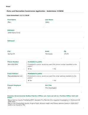 Form preview