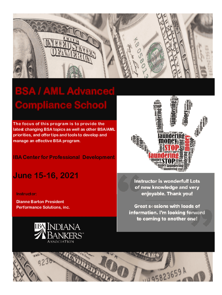 Fillable Online Bank Secrecy Act / Anti-Money Laundering (BSA/AML ...