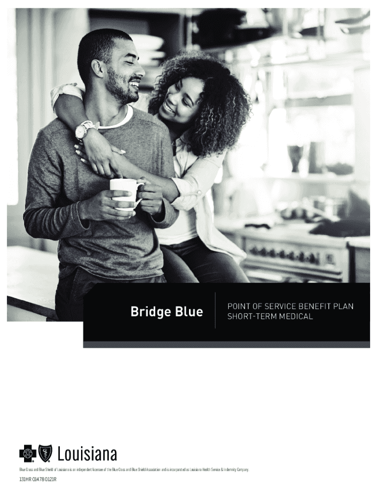 Fillable Online Bridge Blue Point of Service Benefit Plan Shortterm