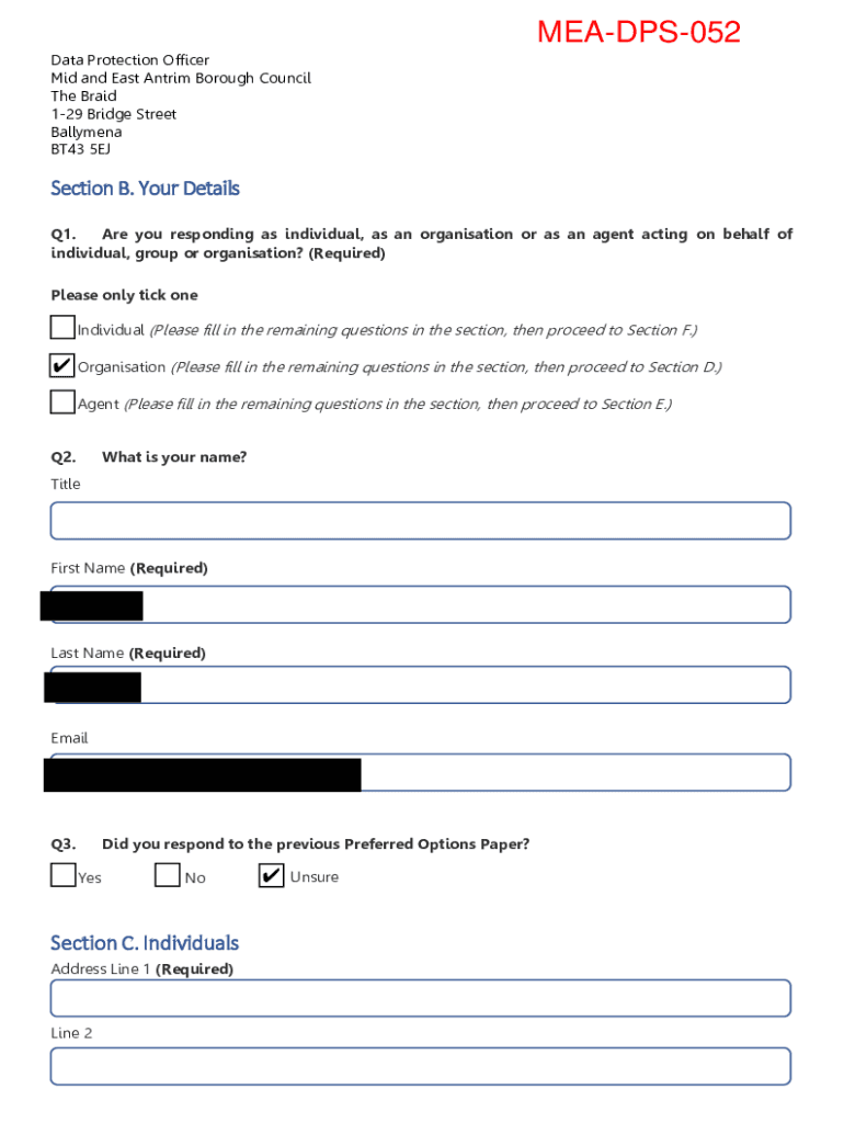 Form preview