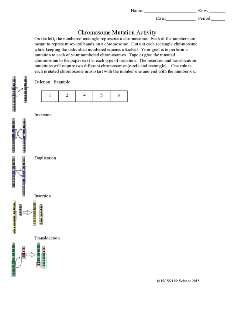 fillable-online-can-changes-in-the-structure-of-chromosomes-affect