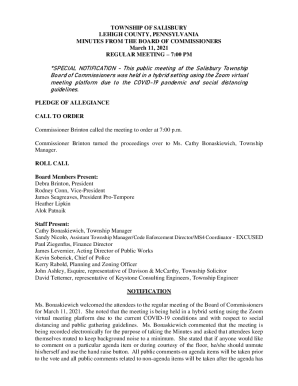 Page 1 of 51 TOWNSHIP OF SALISBURY LEHIGH COUNTY ...