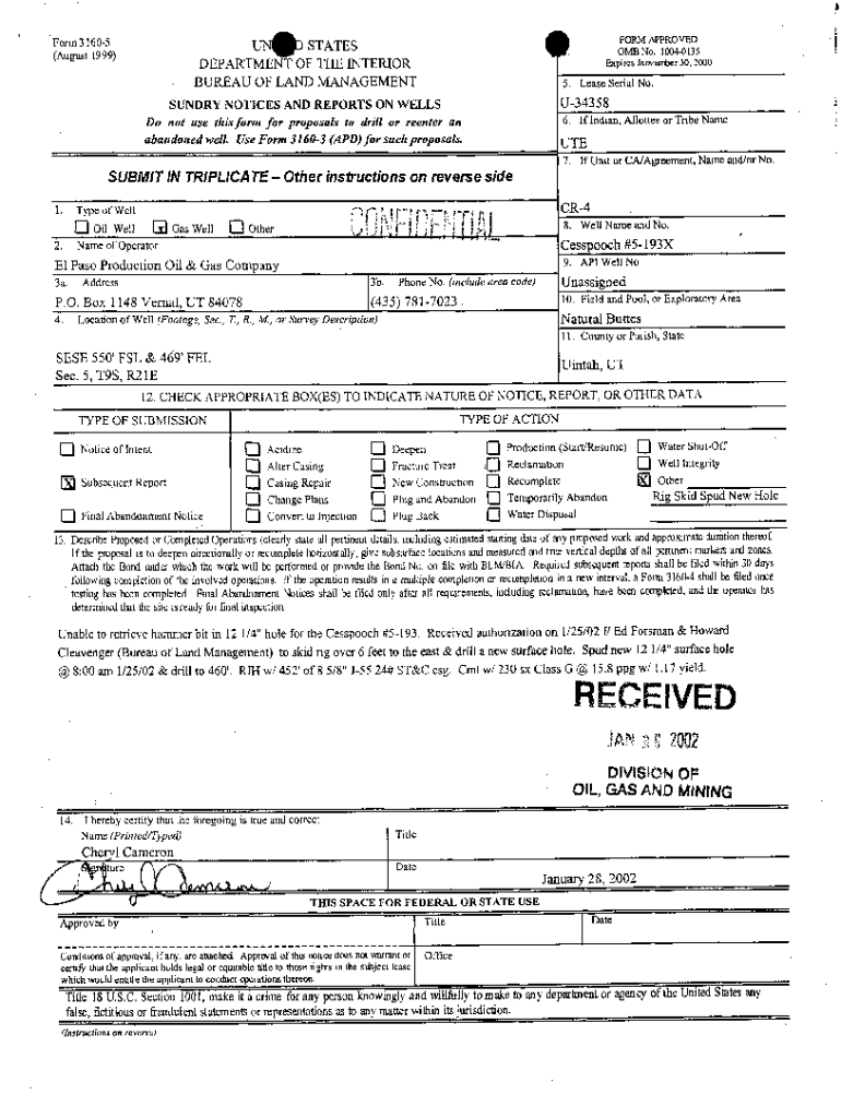 Fillable Online BLM Form 3160 5 RegInfo gov Fax Email Print PdfFiller Fillable Online BLM Form 3160 5 RegInfo gov Fax Email Print PdfFiller