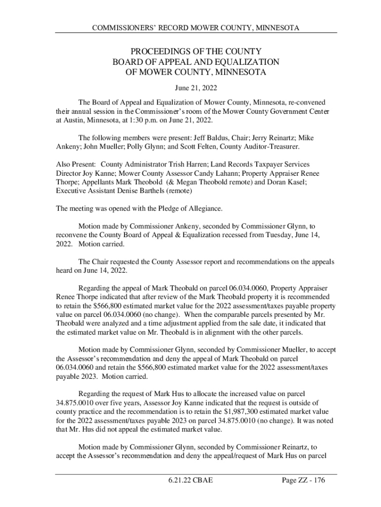 Fillable Online Who Does What in the Property Tax System Mower County Fax Email Print pdfFiller