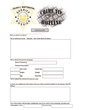 Missing Person Report Form