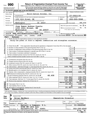 Form 990 2013