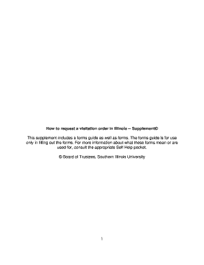 Illinois Visitation Order Request
