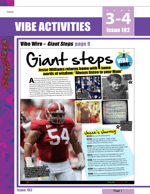 Vibe Activities Worksheet