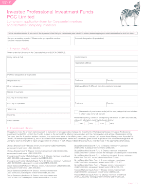 Investec Professional Investment Funds Lump Sum Application Form