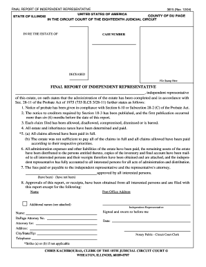 Final Report of Independent Representative
