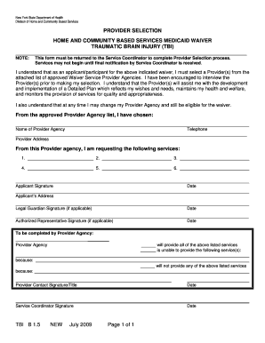 New York Medicaid Waiver Provider Selection Form
