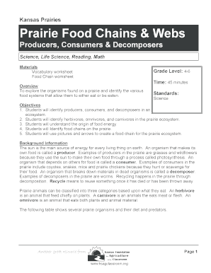 Prairie Food Chains & Webs Worksheet